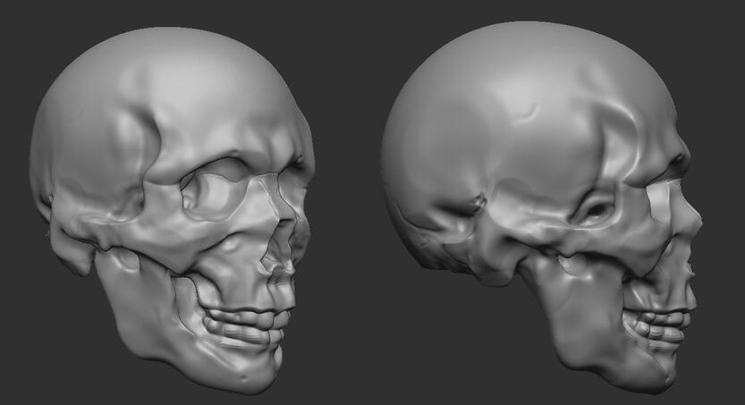 Zbrush Skull